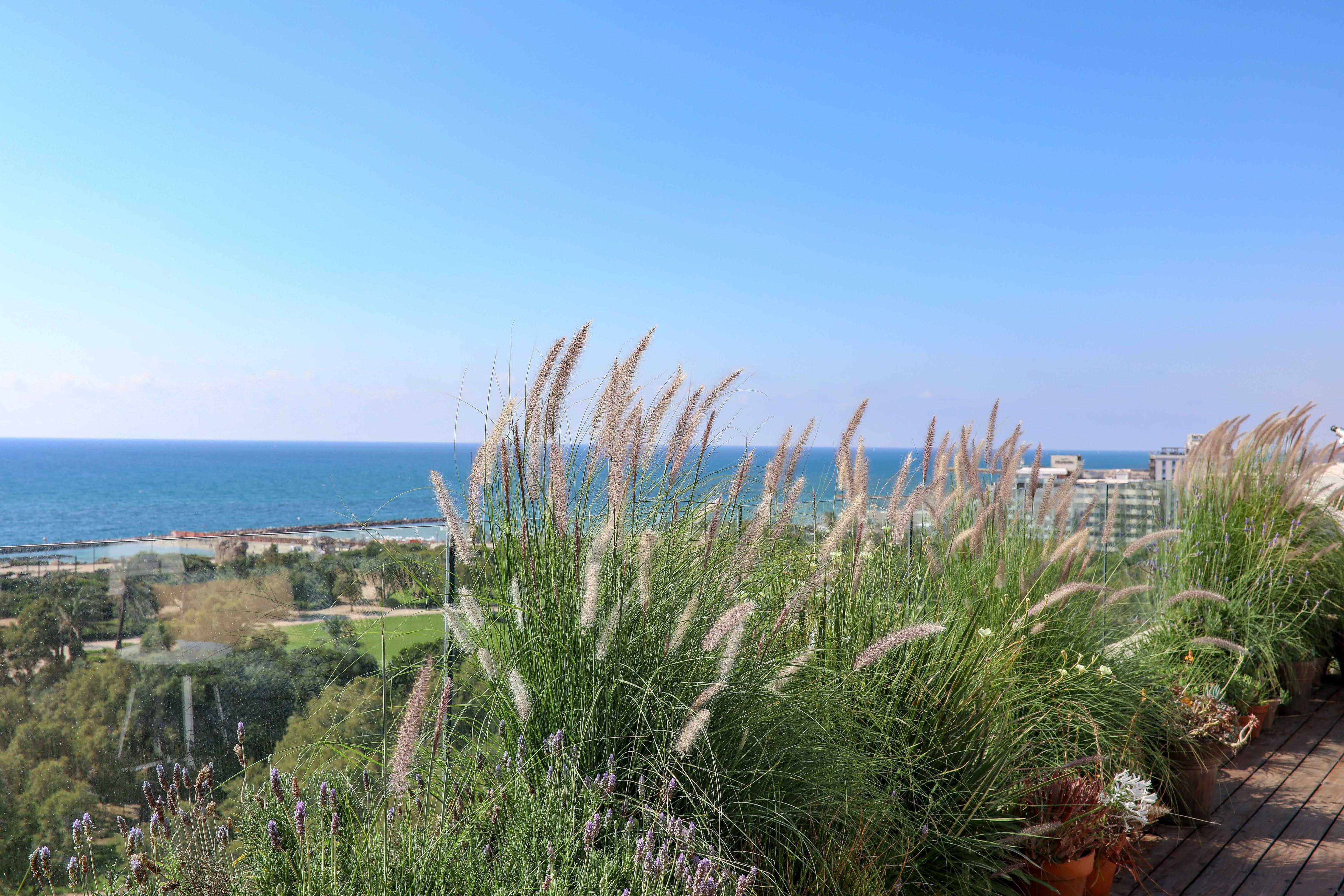 Melody Hotel - An Atlas Boutique Hotel Tel Aviv Luaran gambar
